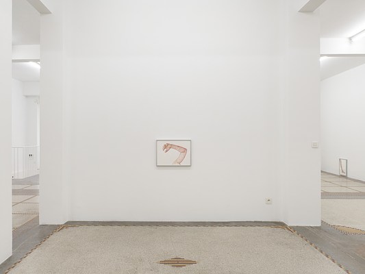 Image 10 of 31