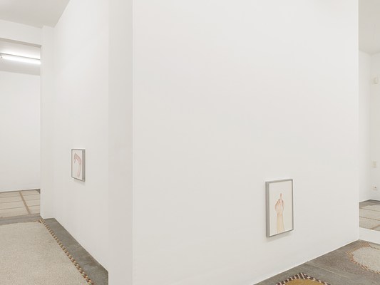 Image 15 of 31