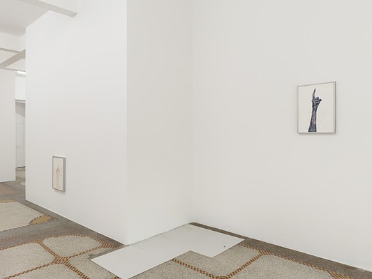 Image 19 of 31