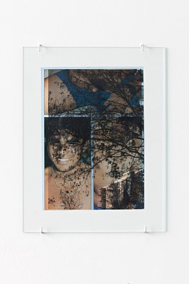 Image 16 of 41