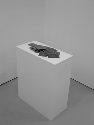 Image 4 of 17