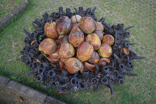 Image 19 of 26