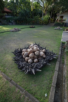 Image 23 of 26