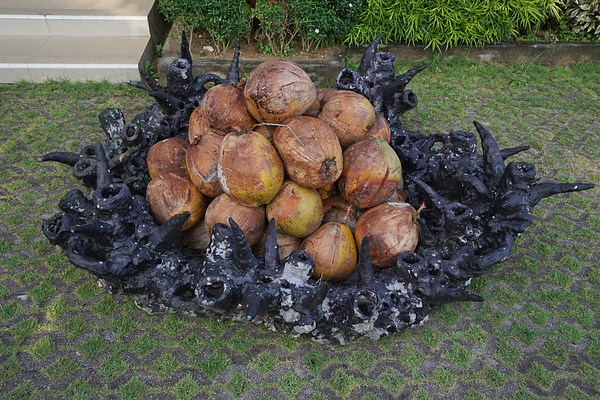 Image 25 of 26
