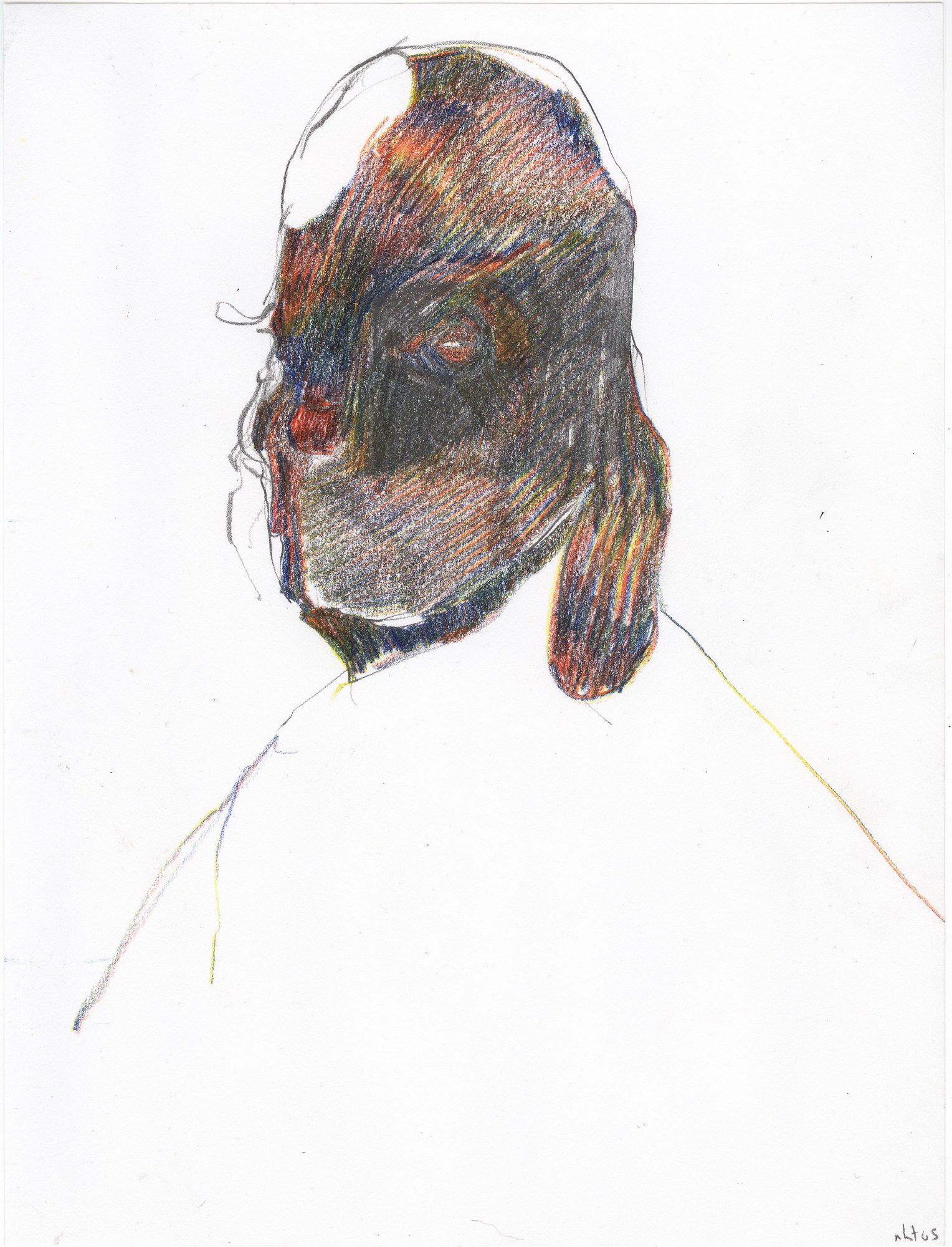 Nicola Tyson, Works on Paper at Petzel, photo 22