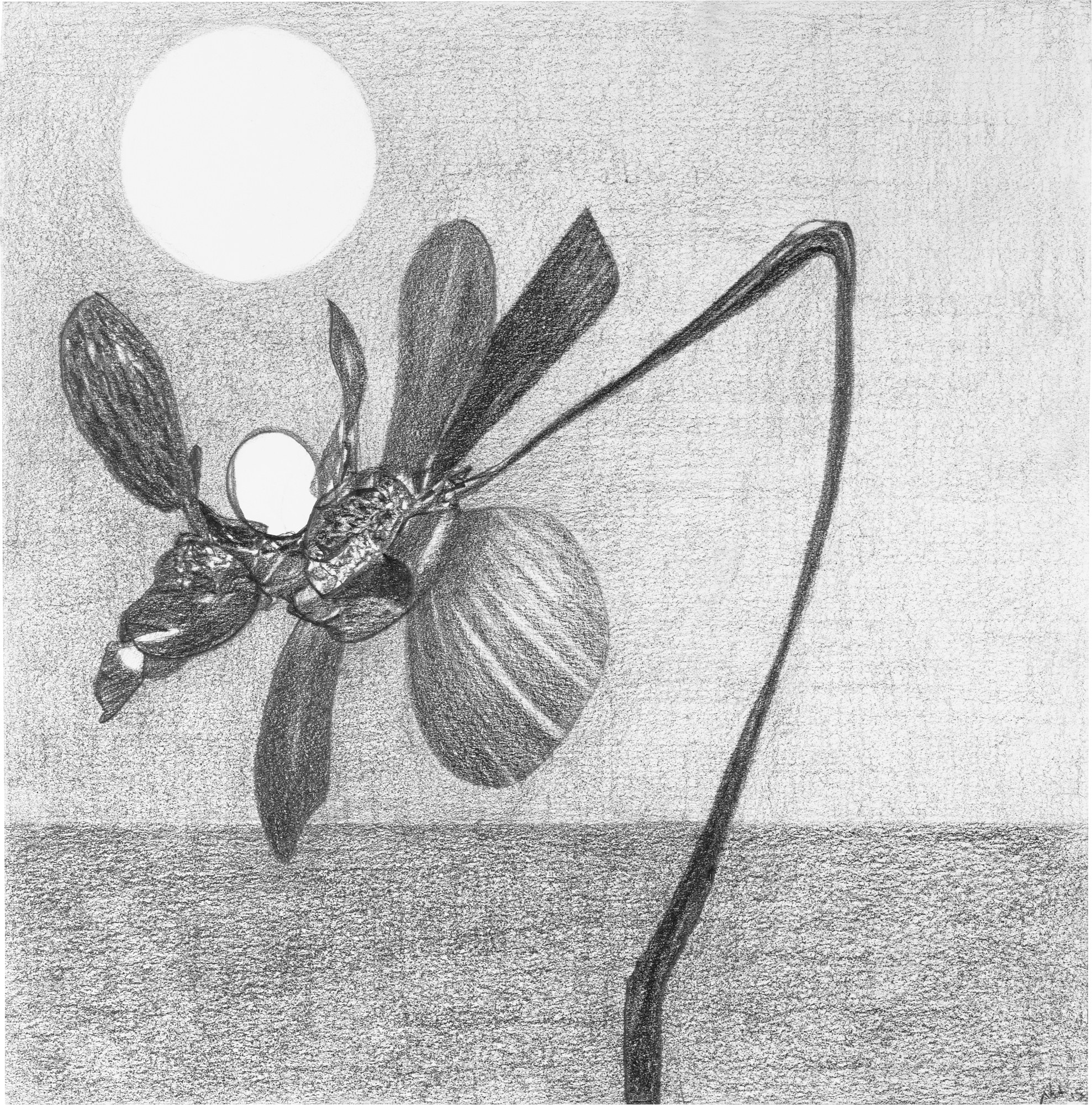 Nicola Tyson, Works on Paper at Petzel, photo 30