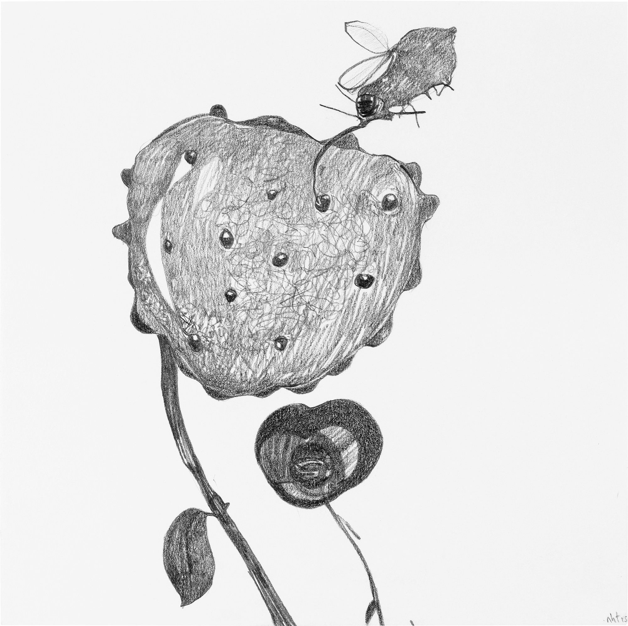 Nicola Tyson, Works on Paper at Petzel, photo 31