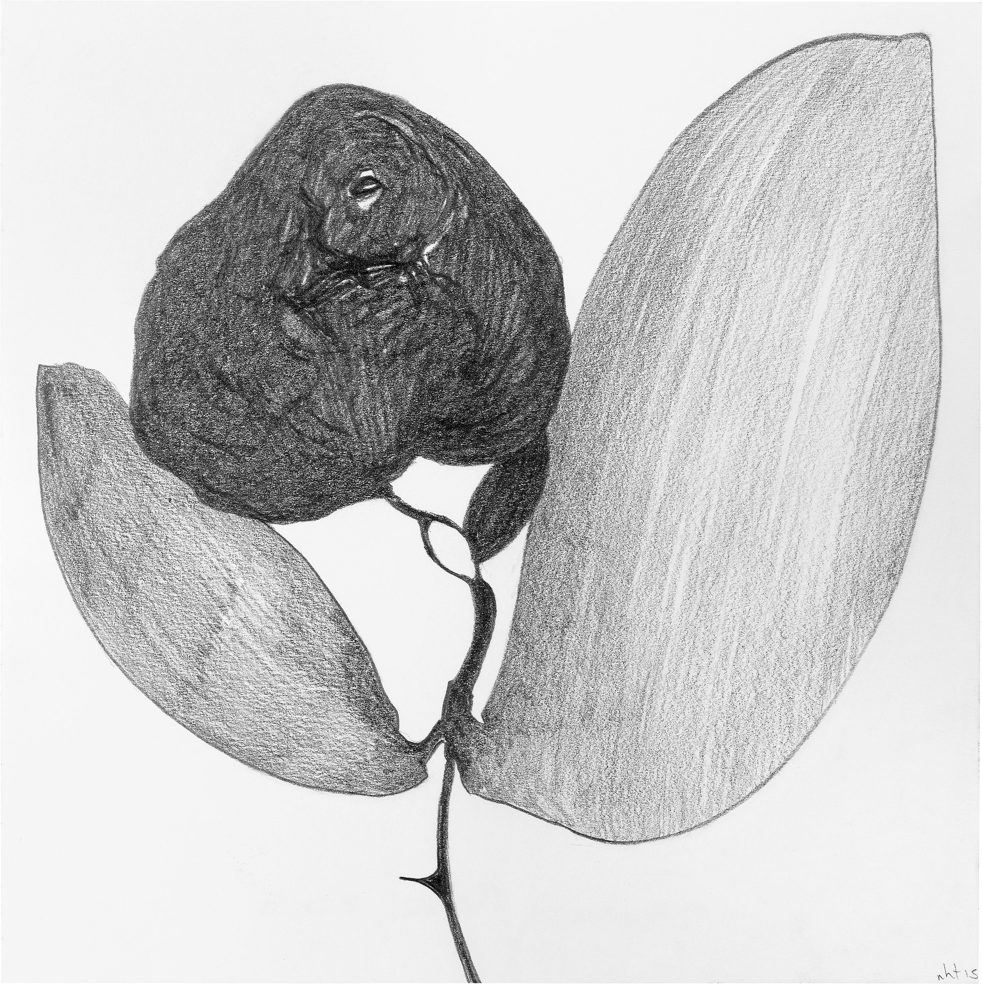 Nicola Tyson, Works on Paper at Petzel, photo 34