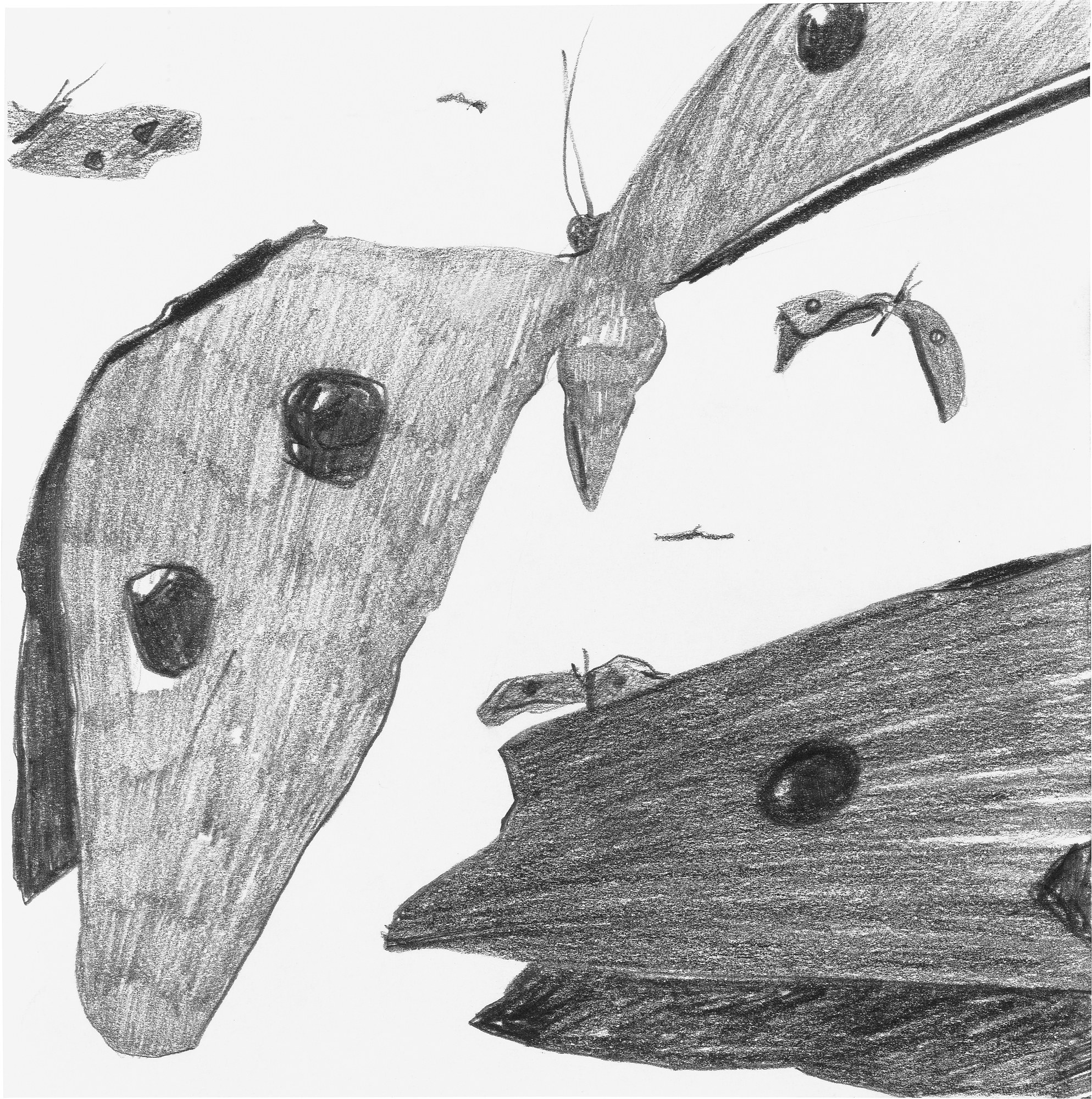 Nicola Tyson, Works on Paper at Petzel, photo 37