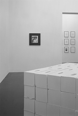 Image 3 of 33