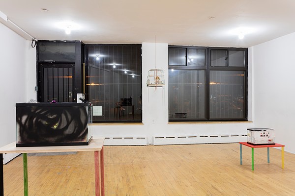 Image 7 of 41