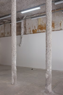 Image 2 of 15
