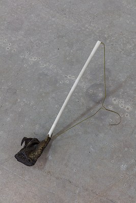 Image 6 of 15
