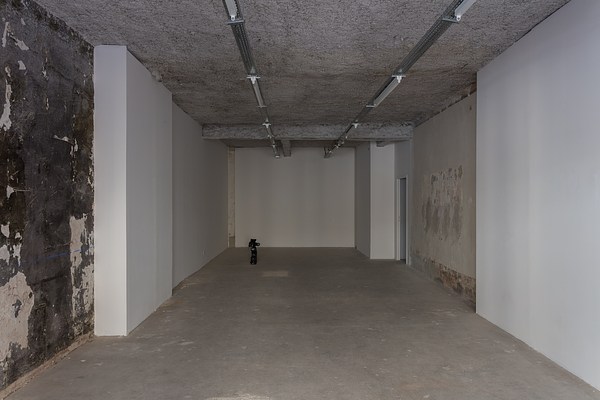 Image 12 of 15