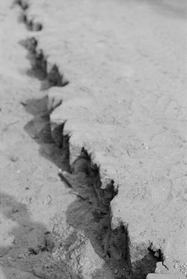 Image 14 of 18