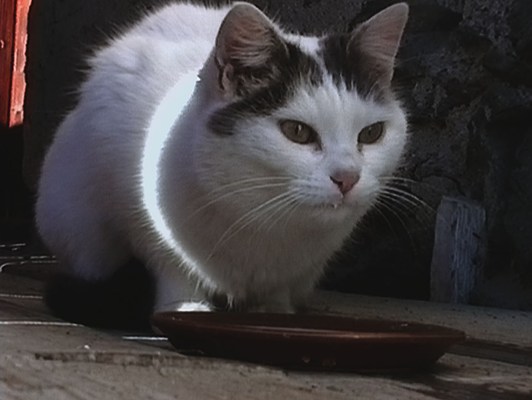 Image 17 of 19