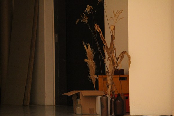 Image 8 of 23