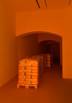 Image 9 of 23