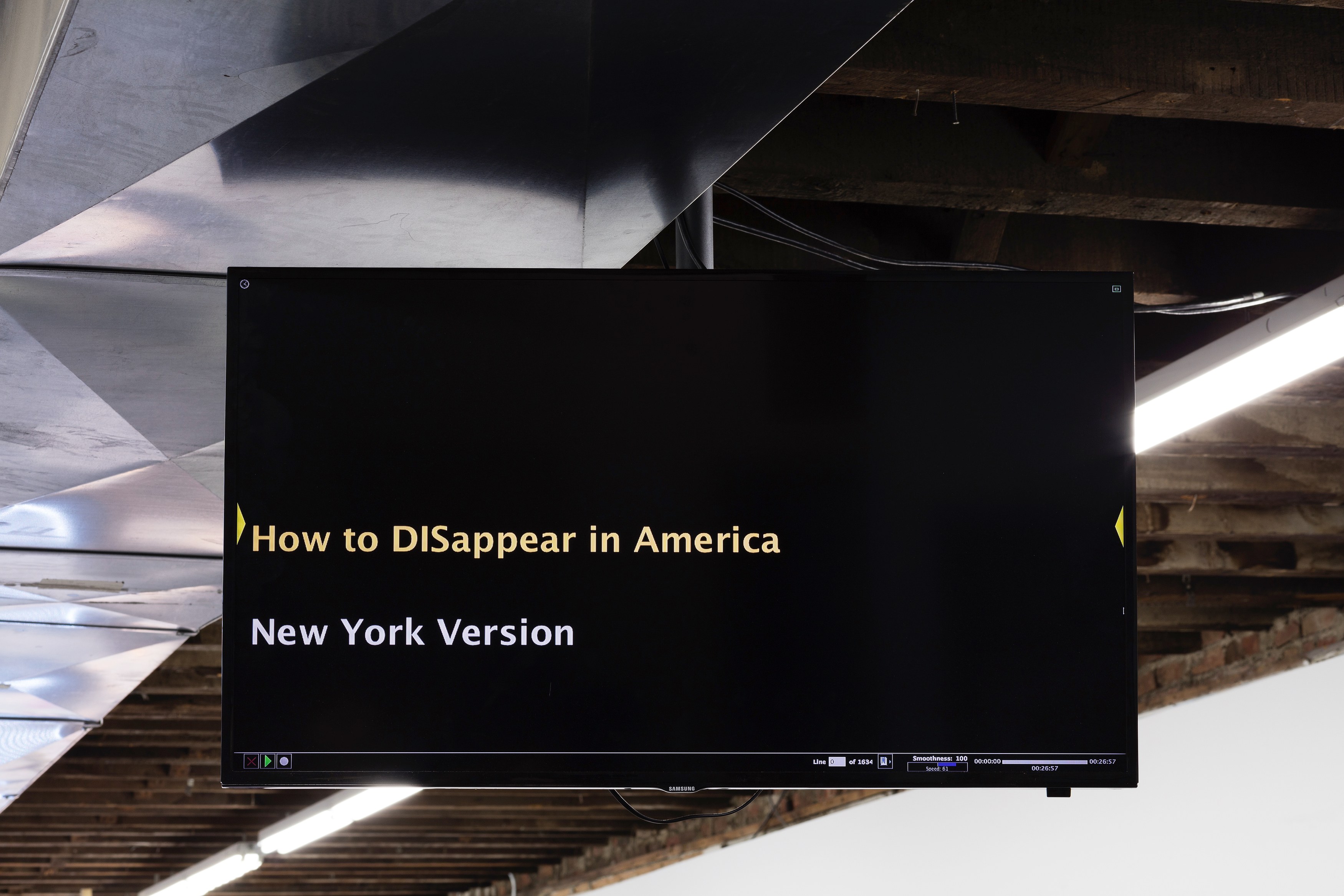 Ei Arakawa-Nash, How to DISappear in America: The Musical at Reena Spaulings Fine Art, photo 20