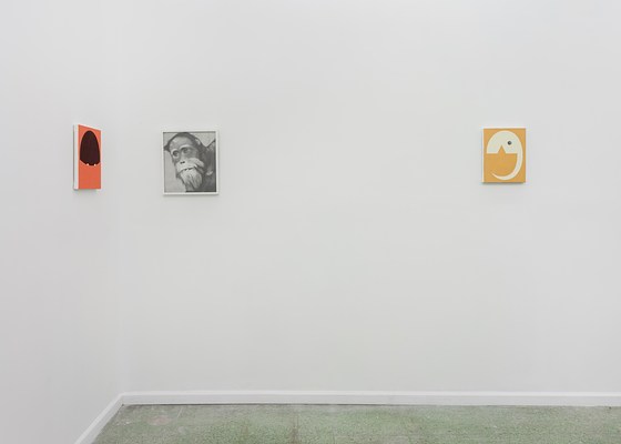 Image 4 of 19