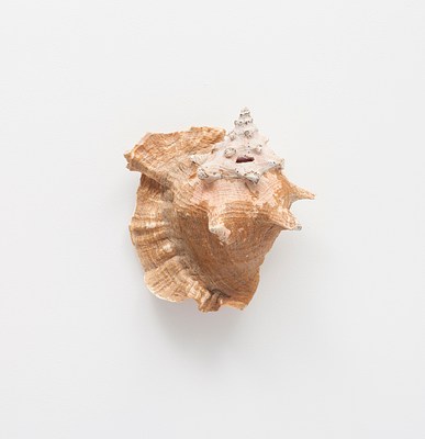 Image 10 of 19