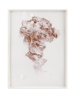 Image 7 of 20