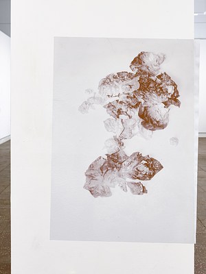 Image 9 of 20