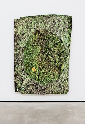 Image 11 of 11