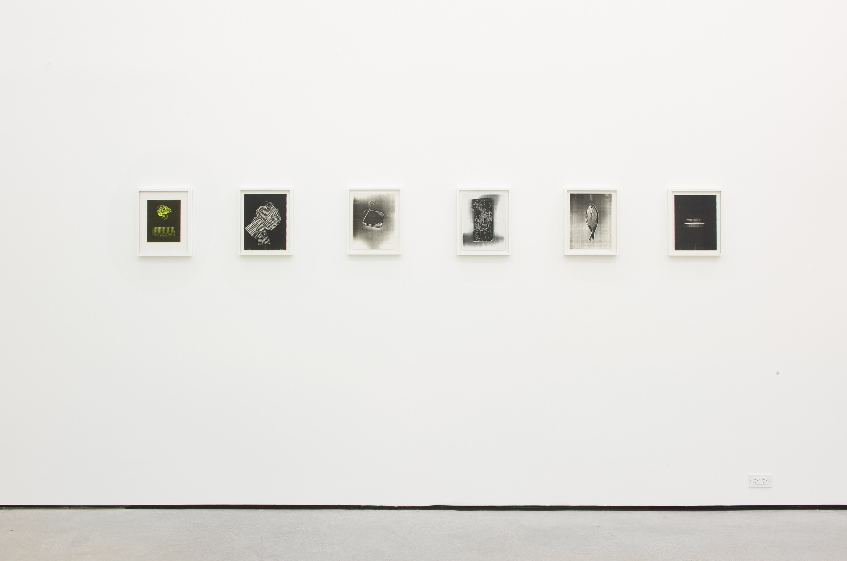 Pati Hill, How Something Can Have Been At One Time And In One Place And Nowhere Else Ever Again at Maxwell Graham, photo 3