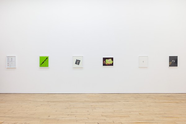 Image 2 of 36