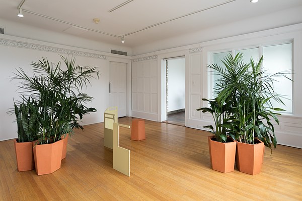 Image 14 of 21