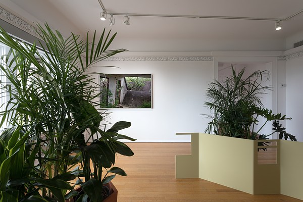 Image 17 of 21
