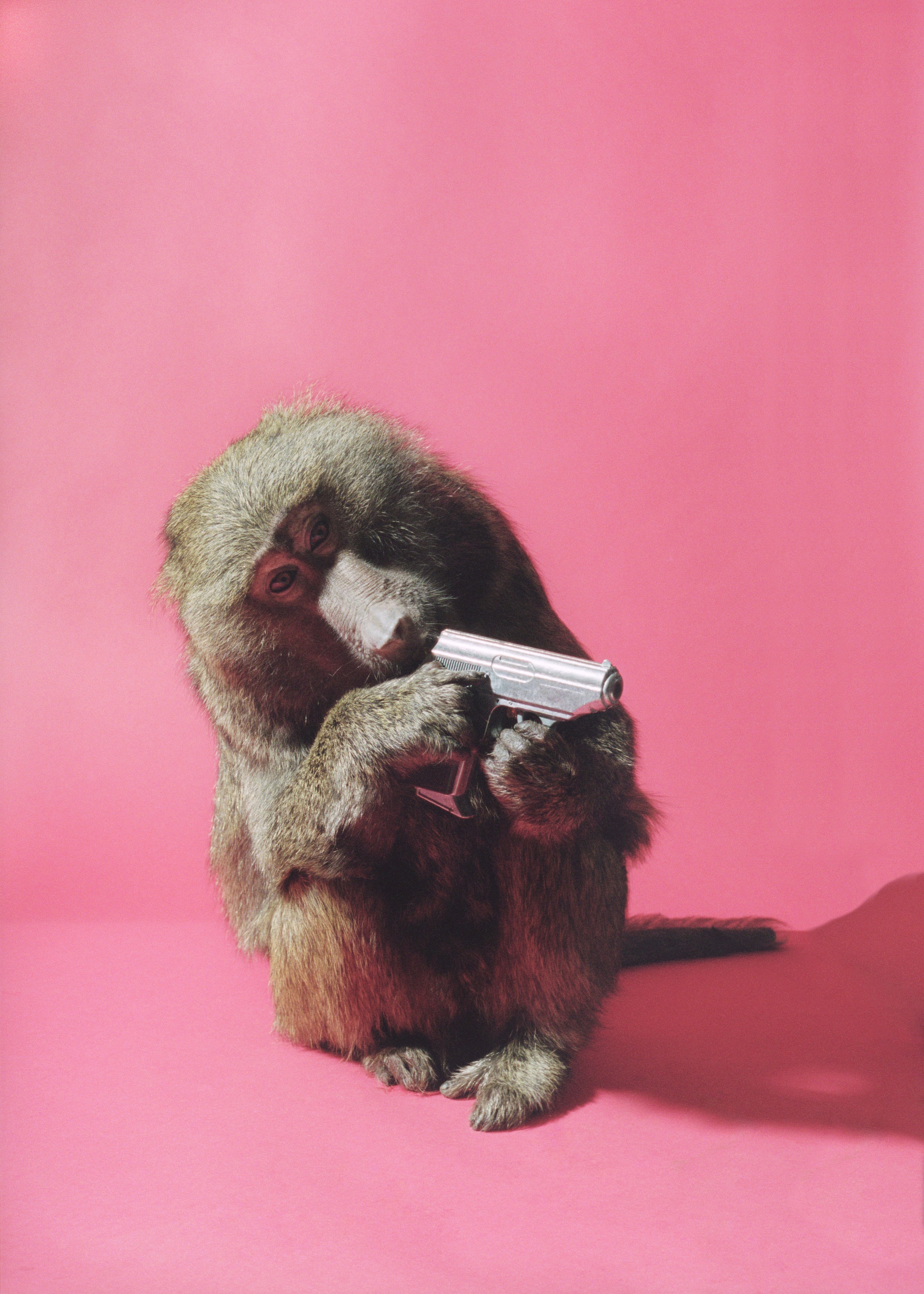 Swingers, Swingers at Greene Naftali, photo 31