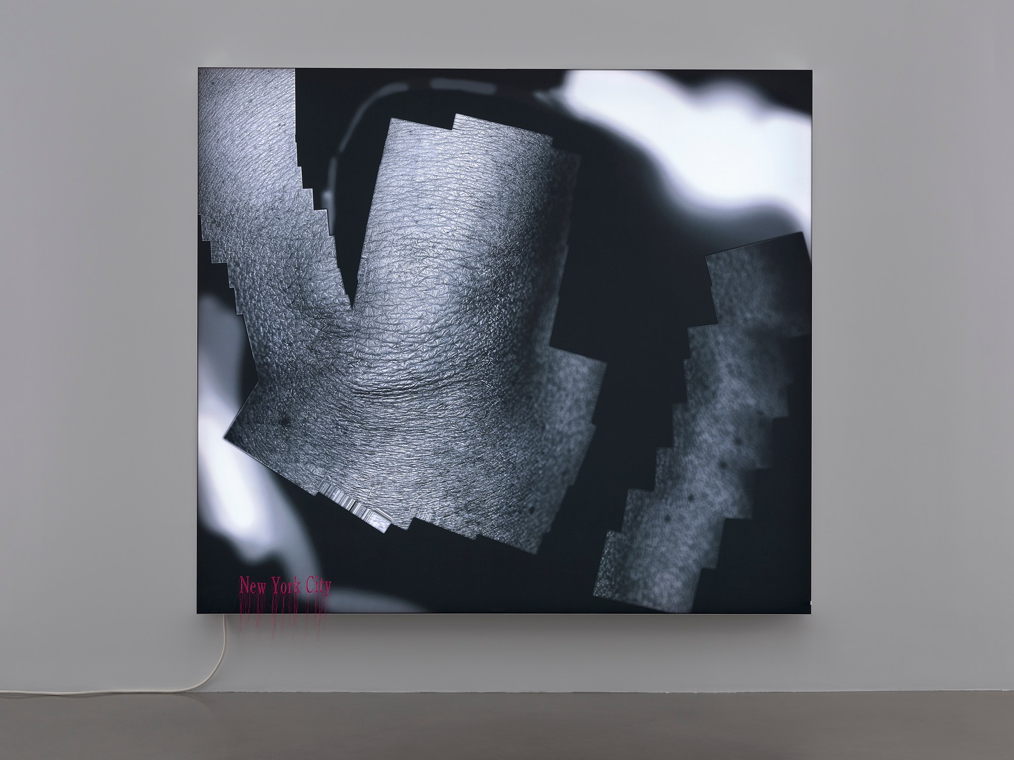 Seth Price, Hell Has Everything at Petzel, photo 15
