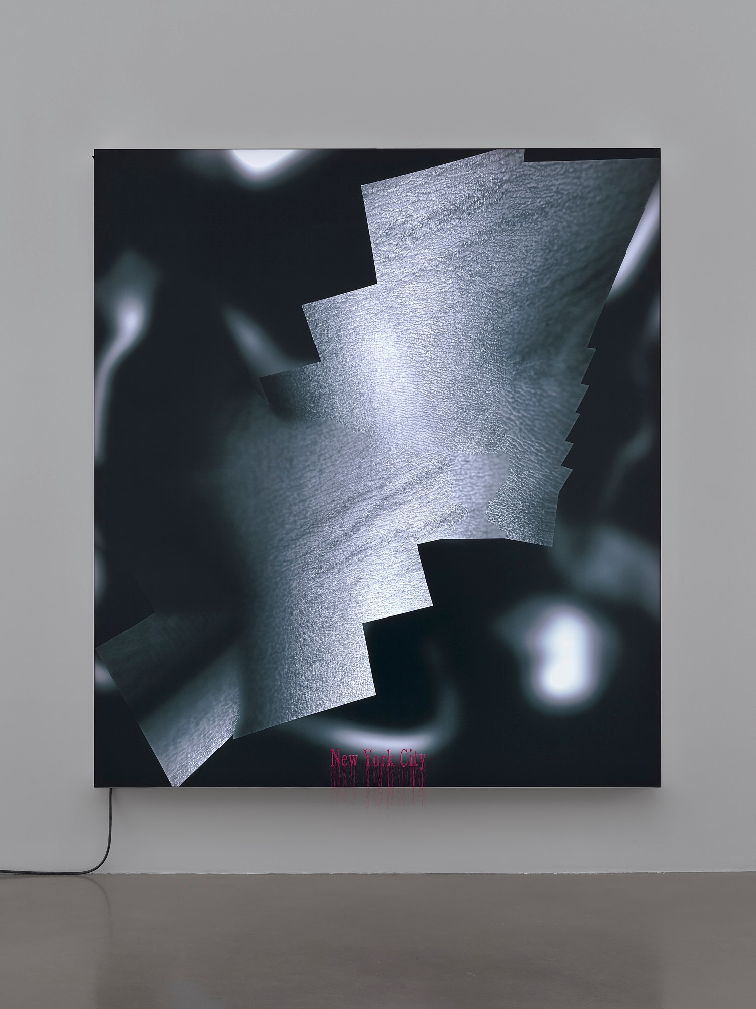 Seth Price, Hell Has Everything at Petzel, photo 16