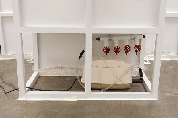 Image 10 of 22