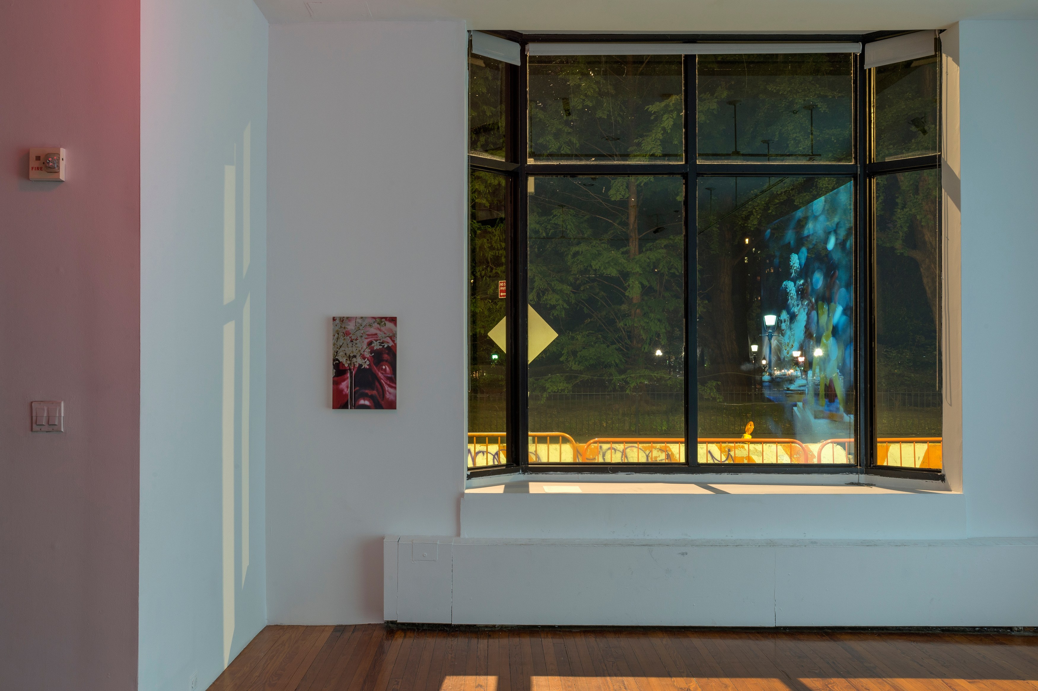 Louise Lawler, Edits and Projections at 80WSE, photo 4