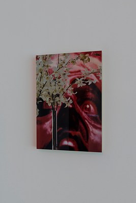 Image 5 of 23