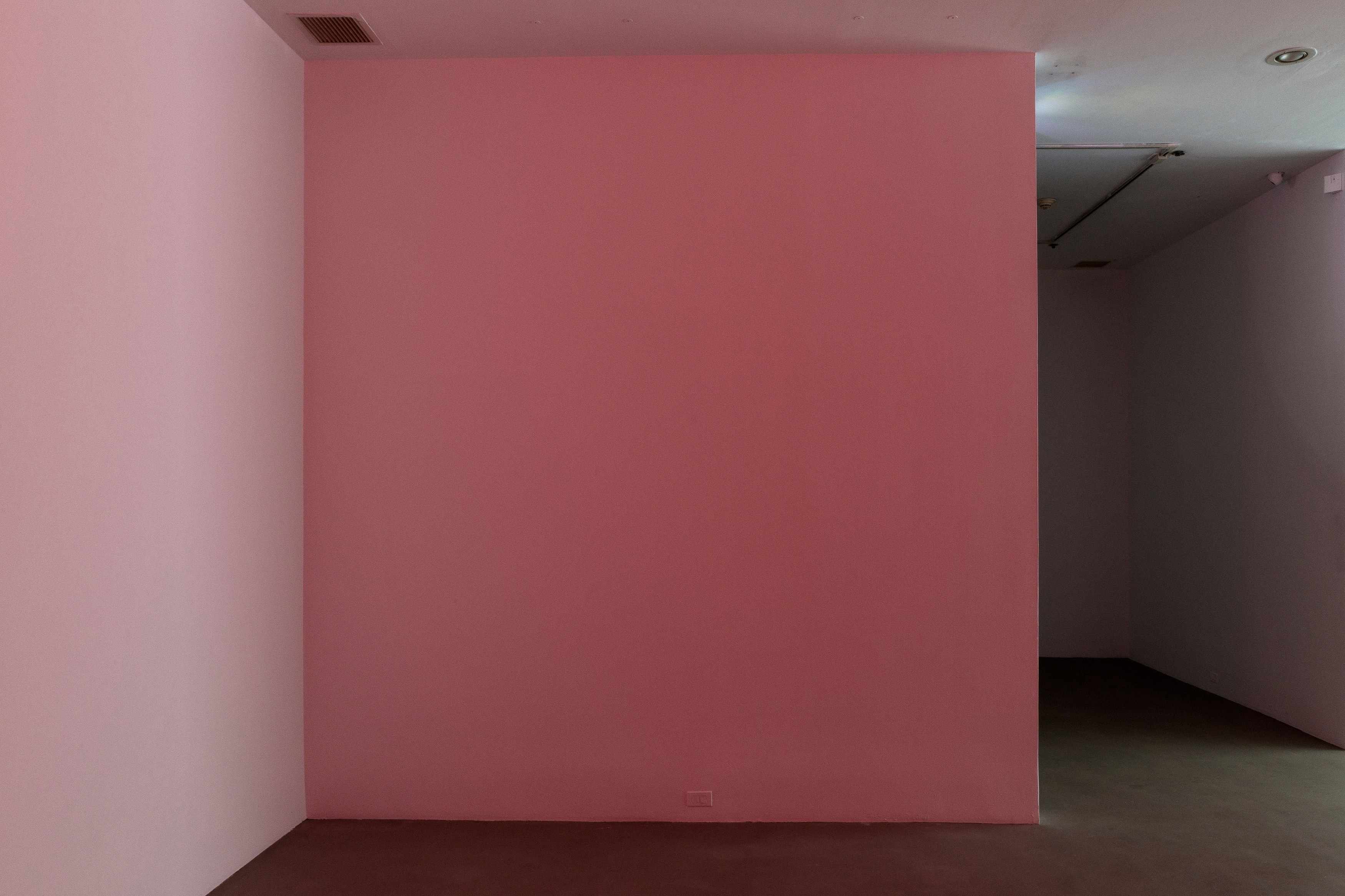 Louise Lawler, Edits and Projections at 80WSE, photo 13
