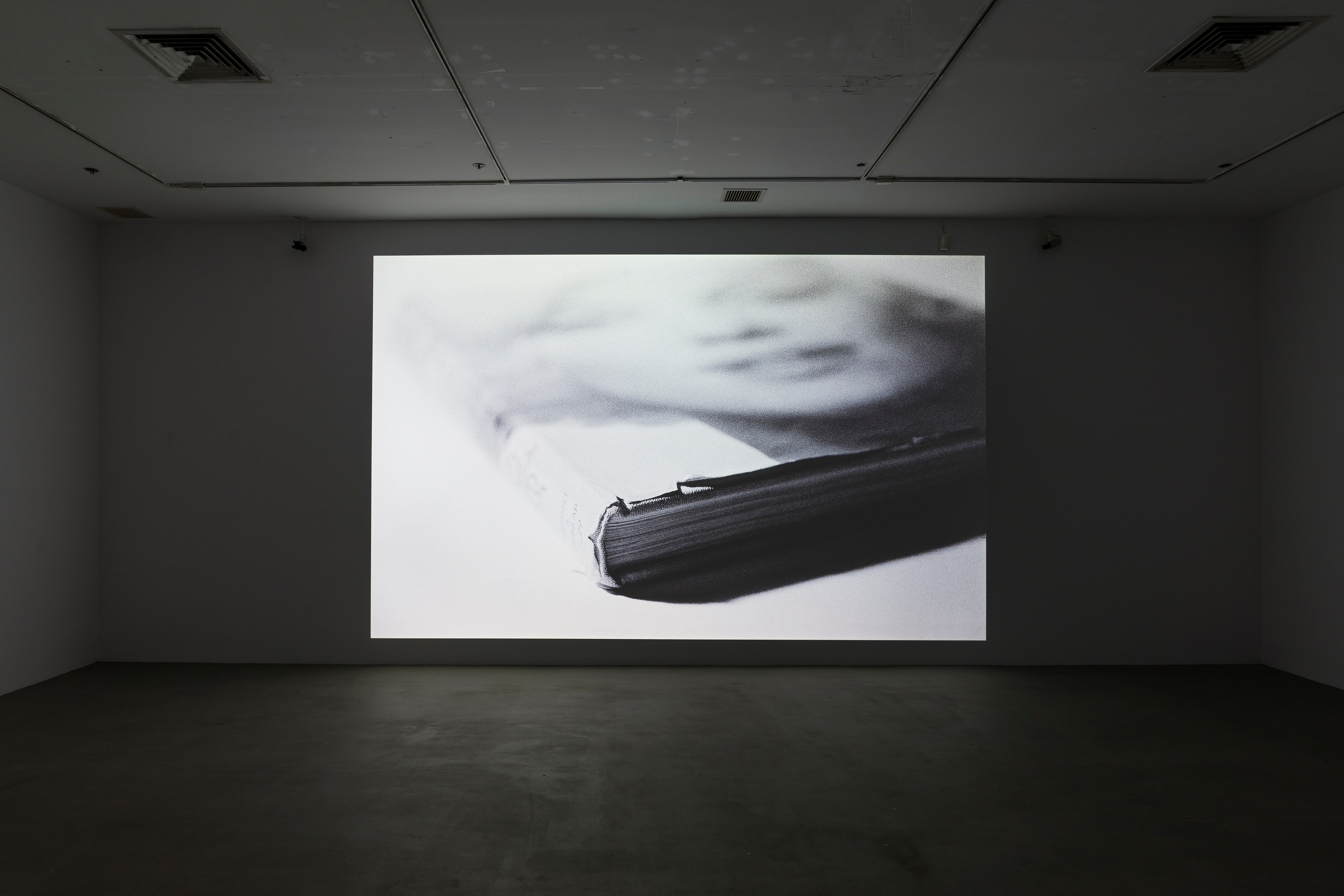 Louise Lawler, Edits and Projections at 80WSE, photo 18