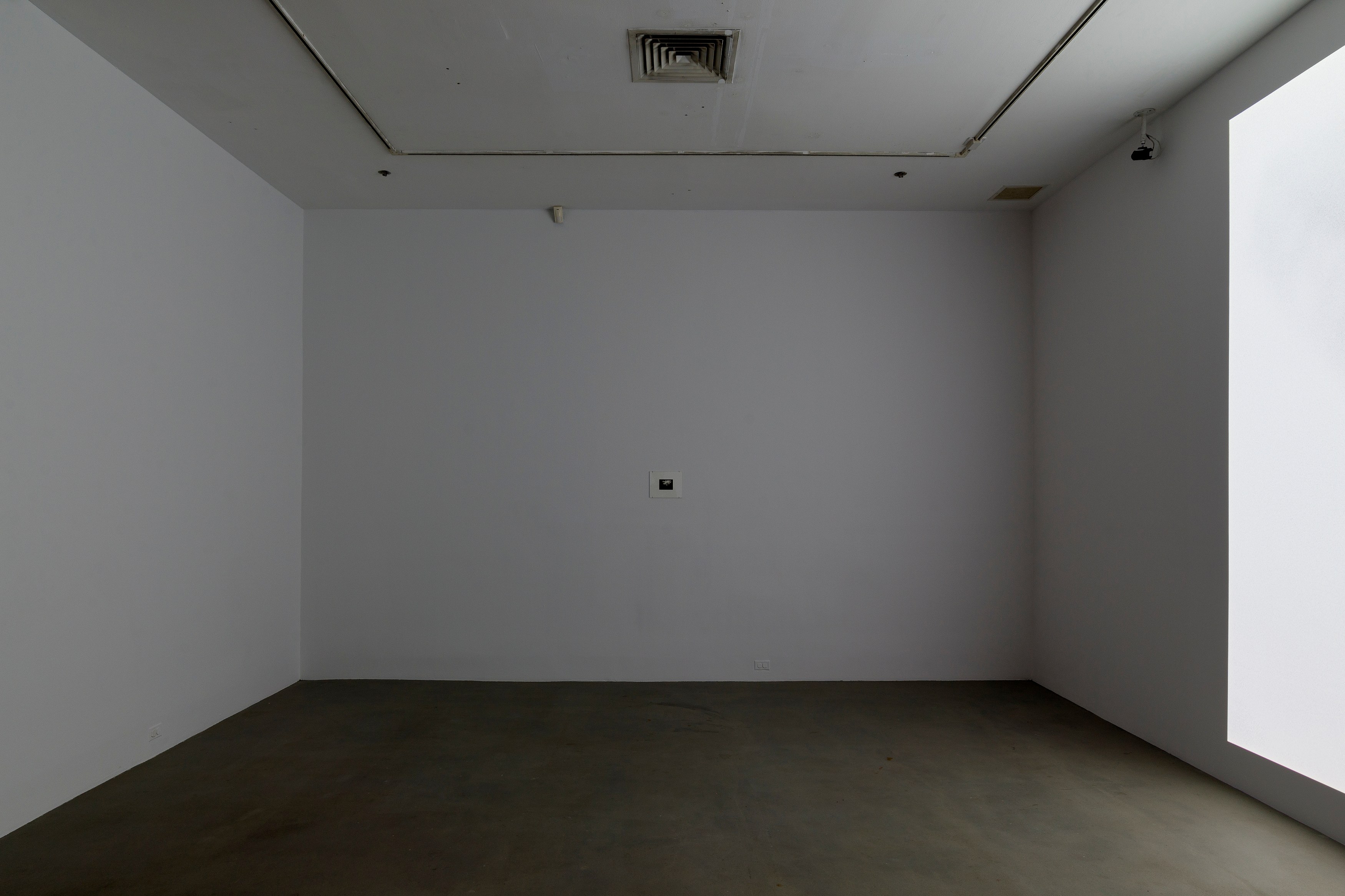 Louise Lawler, Edits and Projections at 80WSE, photo 19