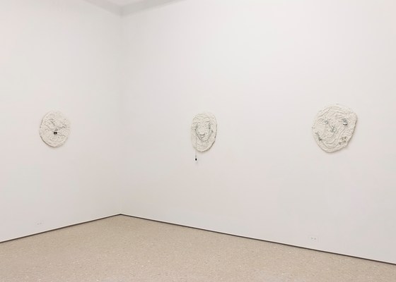 Image 19 of 31