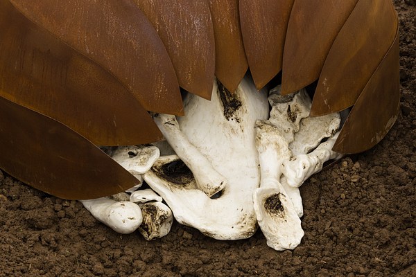 Image 12 of 13