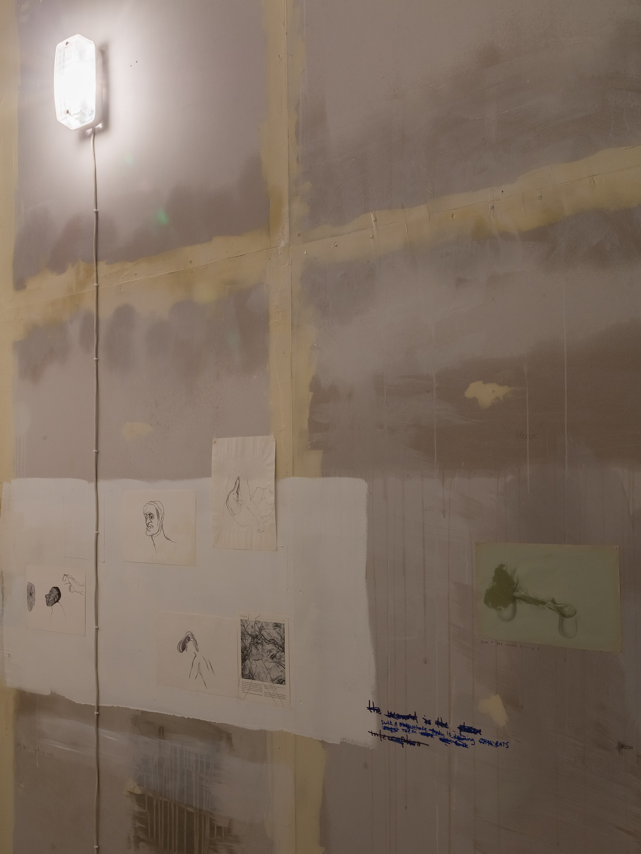 Ache, Ache at Cabinet, photo 25