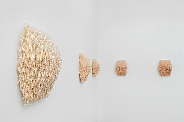 Image 12 of 23