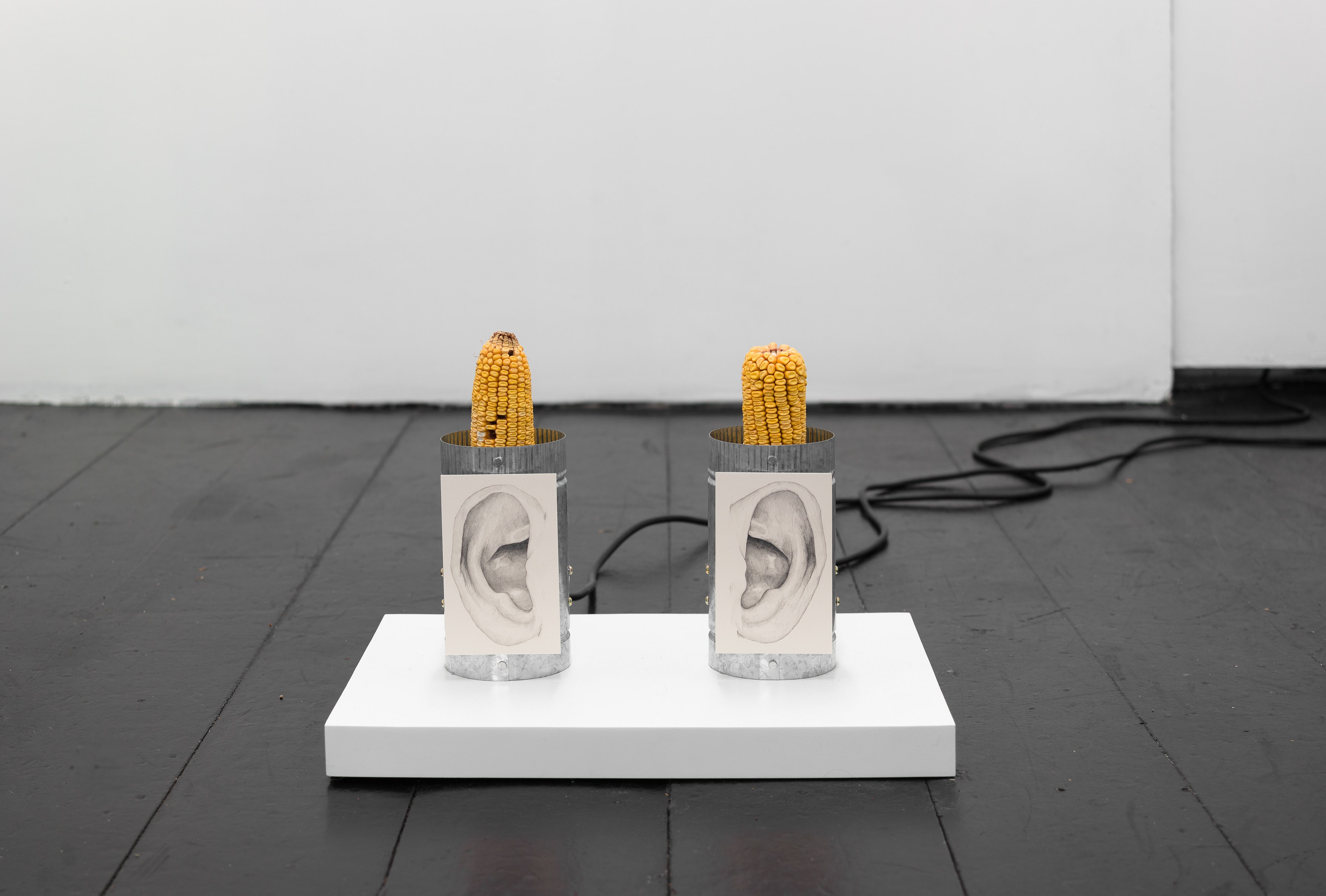 Installation view 6