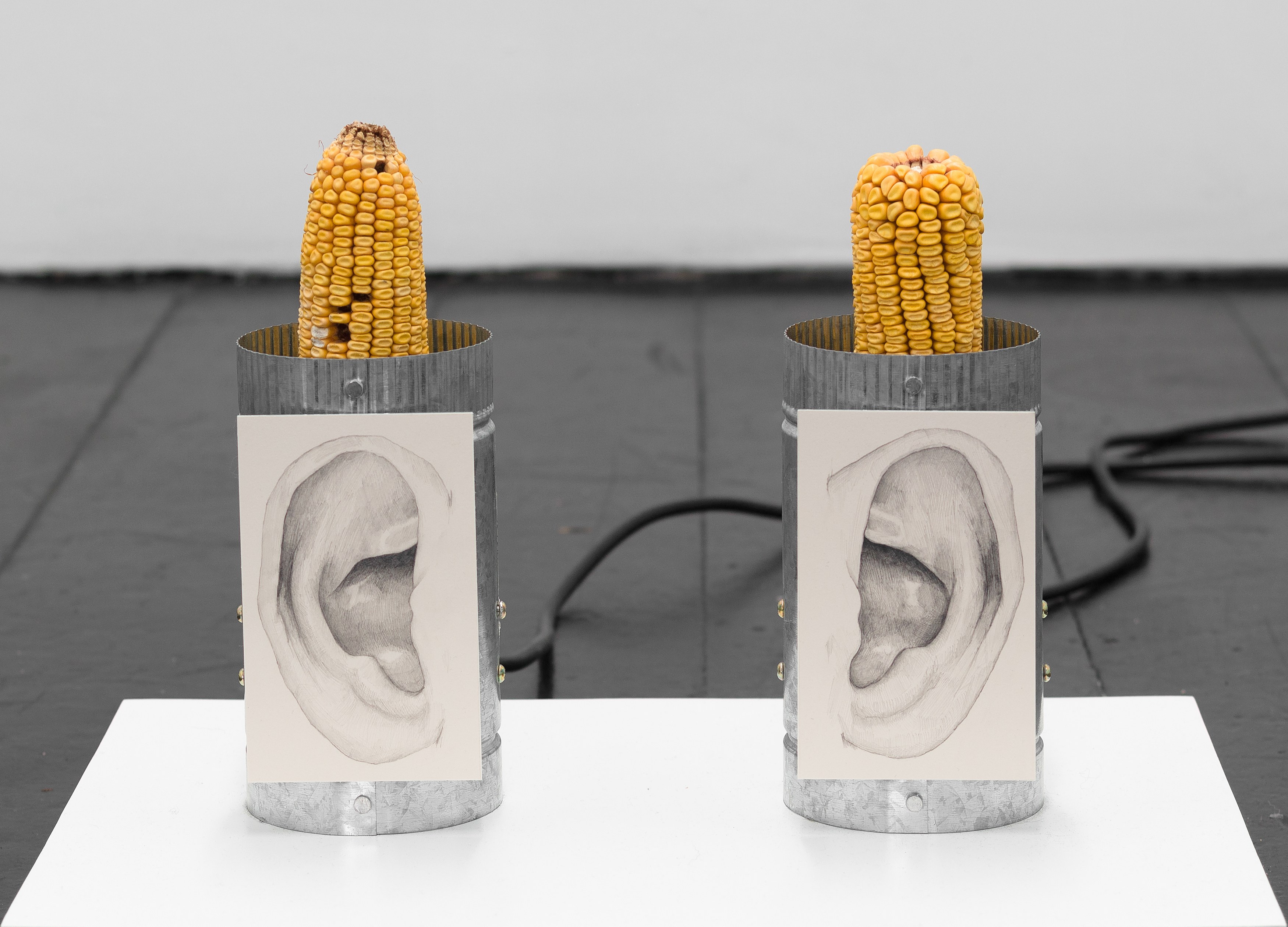 Installation view 8