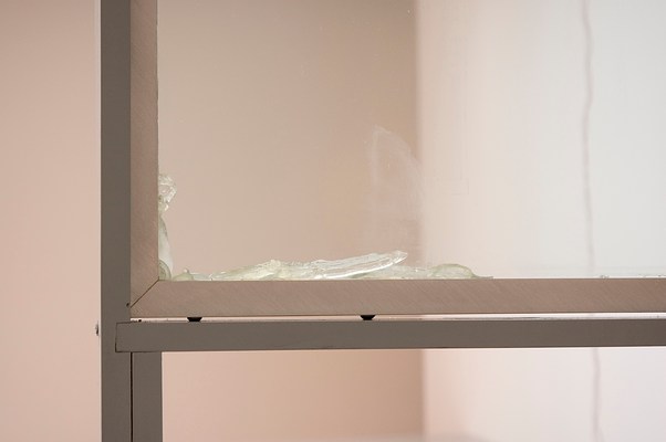 Image 13 of 14