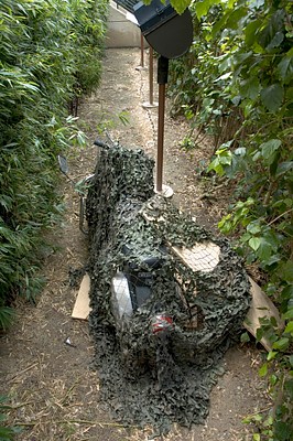 Image 14 of 14