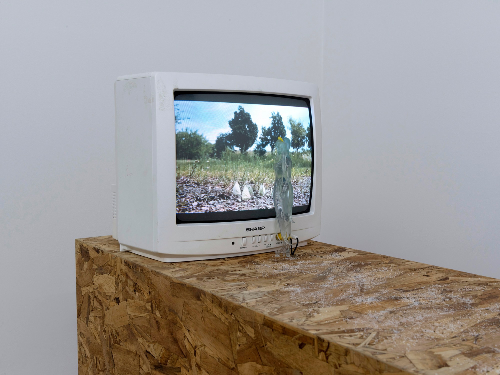 Sam Anderson, Michel Auder, Robert Bordo, Untitled at Bortolami, photo 11